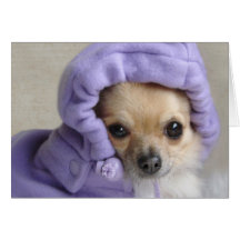 Sweet Minx greeting card (no text)