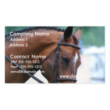 Sweet Morgan Horse Business Cards