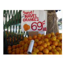 Sweet Navel Oranges Postcard