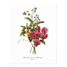 Sweet Pea and Viola Post Cards