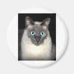 Sweet Pea Fridge Magnet