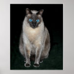 Sweet Pea Poster