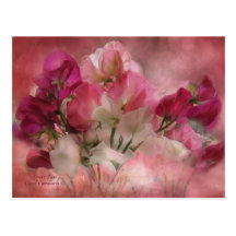 Sweet Peas Postcard