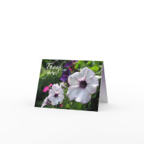 Sweet Petunias Thank You