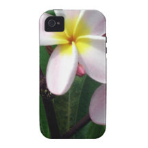 Sweet Pink and Yellow Plumeria Flowers Case-Mate iPhone 4 Cover