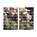 Sweet Pink Garden of Roses Stretched Canvas Prints