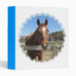 Sweet Quarter Horse Binder