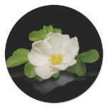 Sweet Reverie Sticker