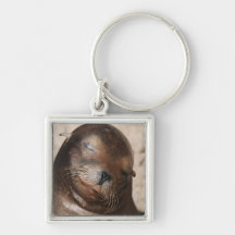 Sweet Sea Lion Keychain