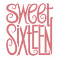 Sweet Sixteen Long Sleeved T-shirt