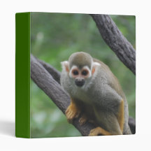 Sweet Squirrel Monkey Binder