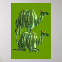 Sweet Watermelons Camels Posters