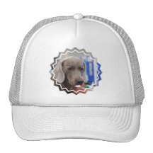 Sweet Weimaraner Dog Baseball Hat
