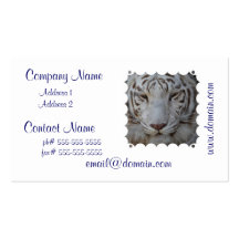 Sweet White Tiger Business Cards