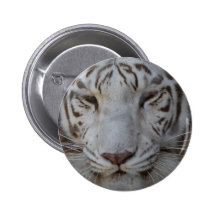 Sweet White Tiger Button