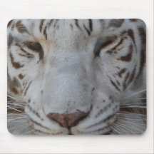 Sweet White Tiger Mouse Pad