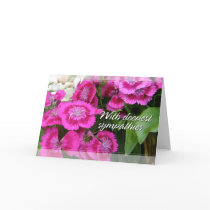 Sweet Williams (Dianthus) Sympathy Cards