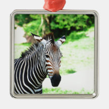 Sweet Zebra  Ornament