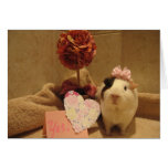 Sweetie's Valentine Greeting Cards