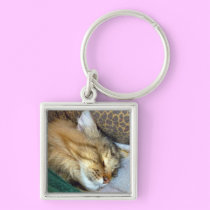 Sweetly dreaming keychains