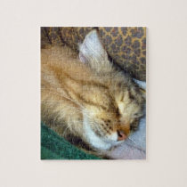 Sweetly dreaming puzzles