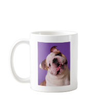 Sweetness is a Bulldog Coffee Mugs