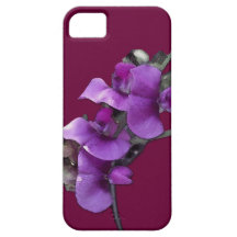 SweetPea