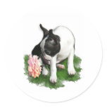Sweetpea Round Sticker