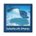 Swim with Rays magnets
