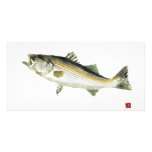 Swimming Bass photo cards