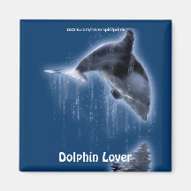 Swimming DOLPHIN Art Magnet
