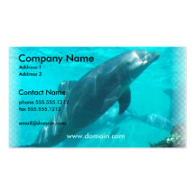 Swimming Dolphin Business Card
