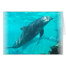 Swimming Dolphin Greeting Card