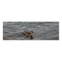 Swimming Duck Bookmark Business Card Templates
