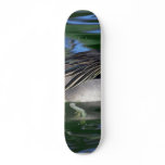 Swimming Duck Custom Skate Board