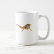Swimming Green Frog on White Background Mug