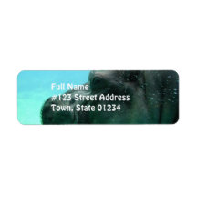 Swimming Hippo  Address Labels