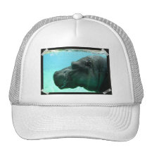 Swimming Hippo Baseball Hat