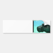 Swimming Hippo Bumper Sticker