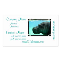 Swimming Hippo Business Cards