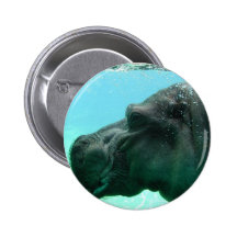 Swimming Hippo Button