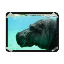 Swimming Hippo Flexible Magnet