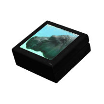 Swimming Hippo Gift Box
