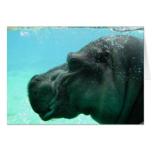 Swimming Hippo Greeting Card