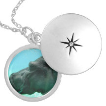 Swimming Hippo Locket
