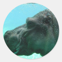 Swimming Hippo Stickers