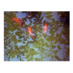 Swimming In Leaves Post Card