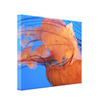 Swimming Jellyfish Canvas Canvas Print