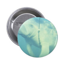 Swimming Manatee Button