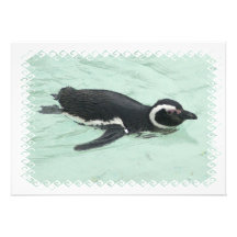Swimming Penguin Invitation